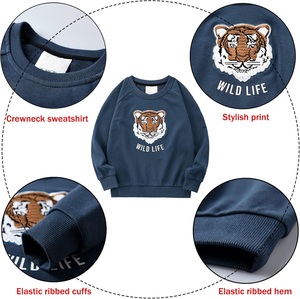 Sweatshirts surdimensionnés à col rond personnalisés pour hommes, hiver, imprimé délavé à la pierre, Streetwear, pull en polaire avec broderie 3D, manches longues - Product Image 2