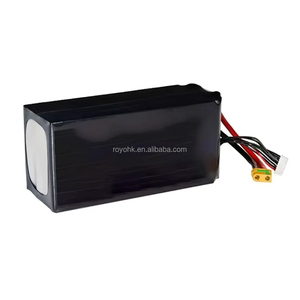 Wholesale 10000MAH 6S 22.2V Long Range Control FPV 1250g XT60 XT90 49*70*176mm Private Mold Made China LiPo Battery for <b>Drones</b> - Product Image 1