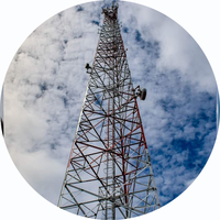 Tour de communication à 3 pieds galvanisée à chaud pour antenne panneau cellulaire MIMO/GSM avec 2 connecteurs N femelles et bornes N femelles
