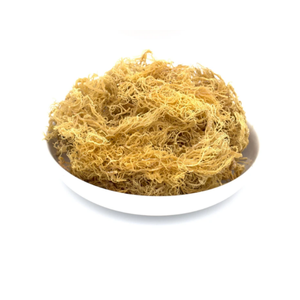 BEST SELLER - ALGUE LAVERT OR PREMIUM // MOUSSE DE MER SÉCHÉE DE QUALITÉ SUPÉRIEURE DU VIETNAM // Mme Beatrix - Product Image 1