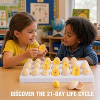 Juguete del Ciclo de Vida del Pollo, Kit Científico de Incubación de Huevos de 21 Días para Niños de 4 a 6 Años con Bandeja de 21 Huevos que se Abren y Modelo de Pollito