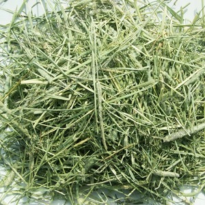 Venta Directa de Heno de Alfalfa Comprimida de Alta Calidad en Gran Volumen para Alimentación de Caballos - Product Image 3