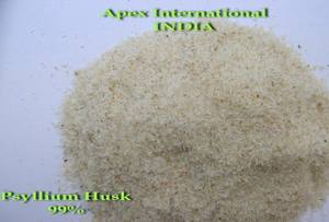 Psyllium Husk Premium Psyllium Husk Powder & Fiber Wholesale Psyllium Seed Husk Apex Brand 24 Months Shelf Life - Product Image 2