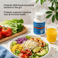 Capsules de Saccharomyces Boulardii MOS à Marque Blanche, 5 Milliards d'UFC, Probiotique Prébiotique pour la Santé Intestinale, Complément Alimentaire Digestif OEM