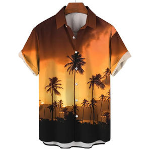 Chemise pour hommes t-shirts de plage décontracté respirant à manches courtes chemises boutonnées 3D imprimé vêtements pour hommes vacances d'été - Product Image 1