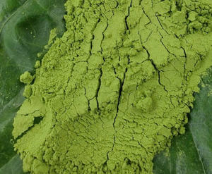 POLVO DE PENNYWORT DE CALIDAD/POLVO DE HOJA DE CENTELLA ASIATICA 100% NATURAL A UN PRECIO RAZONABLE - Product Image 4