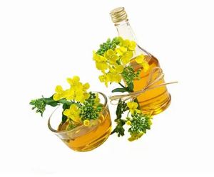 น้ำมันคาโนลาออร์แกนิกสกัดเย็น |   น้ำมันบริสุทธิ์แบบไม่ผ่านการกลั่น ผลิตในแอฟริกา สำหรับอาหารเพื่อสุขภาพ ตลาดค้าปลีกพรีเมียมและตลาดเฉพาะทาง - Product Image 6