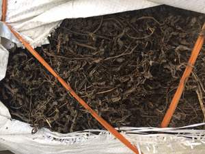 Feuilles de gelée noire séchée biologique Ingrédient naturel de première qualité du Vietnam pour le dessert en gelée d'herbe et les boissons rafraîchissantes traditionnelles - Product Image 3