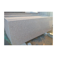 Dernière collection de granit rose naturel de taille personnalisée du fabricant indien