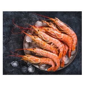 Camarones Rojos Argentinos Congelados Frescos de Gran Tamaño, Calidad Premium, Exportación Directa desde Argentina - Product Image 3