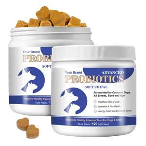 OEM/ODM Natural Probiotic Soft Chews For Pet Health Care For Gut Health Seasonal Allergies Digestive Support