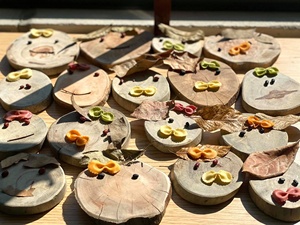 Unfinished Natural <b>Round</b> Wood Panels <b>Round</b> Natural Wood <b>Round</b> Board - DIY Crafts Different Sizes - Product Image 6