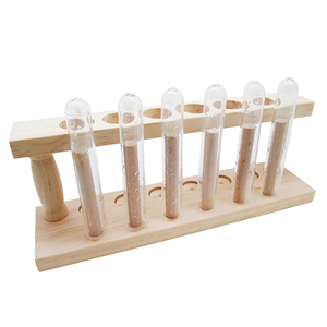 6ชิ้น16มม. หลอดทดลองพลาสติกและชั้นไม้สนสำหรับห้องปฏิบัติการและการศึกษาใช้หลอดทดลองและชั้นวาง - Product Image 2