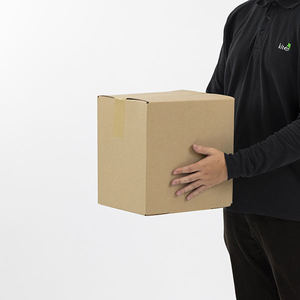 กล่องกระดาษแข็งผนังเดียวรูปทรงเครื่องบิน ขนาด 305x229x305 มม. ทำจากกระดาษลูกฟูก รีไซเคิลได้ - Product Image 1