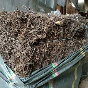 ใบเจลลี่หญ้าดำแห้งของเวียดนาม (Mesona Chinensis) ราคาแข่งขันสำหรับการส่งออกจากเวียดนาม - Product Image 2