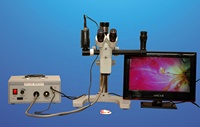 ROSLANE MEDITECH Ophthalmic Wet Lab Microscope with 45 Degree Inclined Binocular Tubes OEM Customizable 1 Year Warranty
