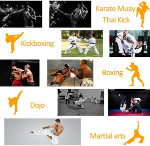 Mitaines de frappe à mise au point incurvées pour les gants de boxe en cuir du Taekwondo Twins Pakistan - Product Image 6