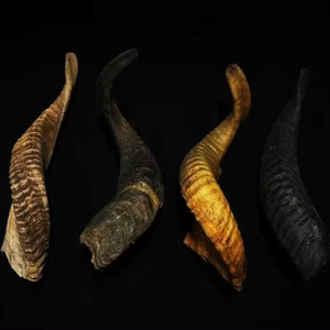 Shofar de Cuerno de Carnero Kudu Natural Ecológico de Alta Calidad, Pulido, de Tamaño Personalizado, para Uso Religioso Judío, Objeto de Colección Artístico para el Hogar - Product Image 6