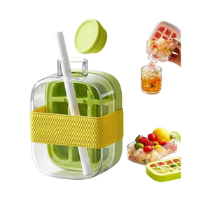 Stainless Steel Water <b>Bottle</b> 1000ml with Ice Mold Straw & Freezer <b>Flask</b> - Product Image 3