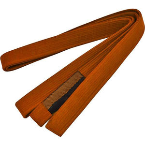 Cinturones de BJJ y Taekwondo Unisex de alta calidad, nueva moda, ropa de artes marciales bordada multicolor, diseño personalizado, OEM disponible - Product Image 3