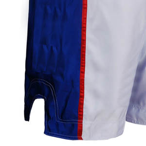 Nuevos pantalones cortos de MMA de estilo moderno para hombre, pantalones cortos de MMA con logotipo y diseño personalizados para hombre, disponibles a precios competitivos - Product Image 5