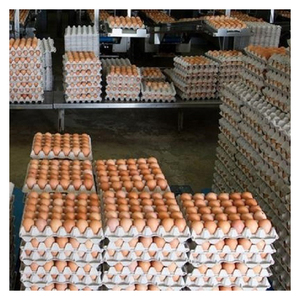 ไข่ไก่ออร์แกนิกธรรมชาติคุณภาพสดรสชาติดีเหมาะสำหรับขนมอบอาหารเช้าและอาหารที่มีคุณค่าทางโภชนาการ - Product Image 1