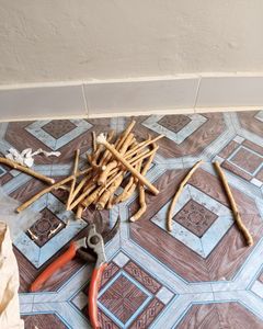 Miswak pour les utilisateurs de prothèses dentaires-Aide naturelle pour le nettoyage des gencives Maintien du pH buccal et rafraîchissement de l'haleine sans produits chimiques abrasifs - Product Image 3