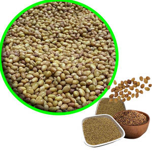 Trèfle Berseem | Texture douce et humide pour le bétail - Product Image 1