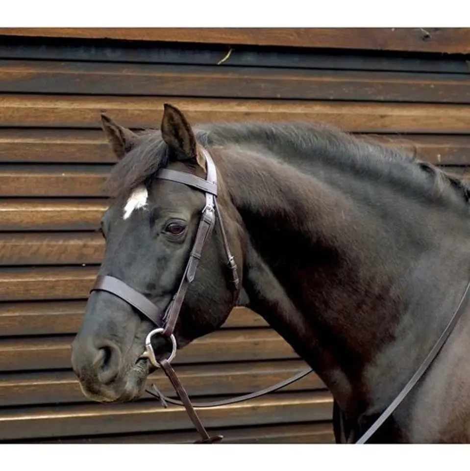 Hunter Bridle with Wide Cavesson Noseband - Black Full Raised Cavesson Bridles Wholesale professional equine halter tack