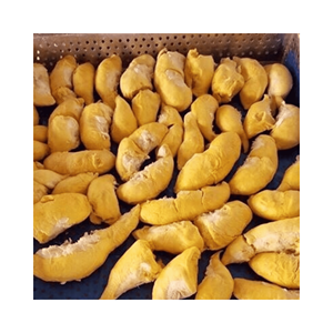 Trozos de Durian congelados, material: carne de Durian; uso: mezclas de bebidas y menús de catering; origen: Vietnam, a granel - Product Image 4