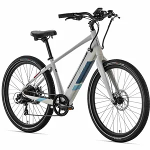Прямая поставка, электрический велосипед 48 в 750 Вт, горный велосипед с полной подвеской, Электрический городской велосипед для продажи
