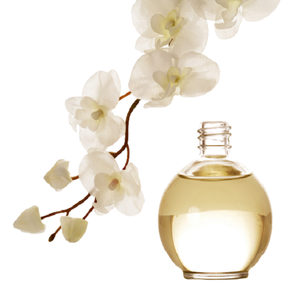 Aceite de fragancia blanco ámbar orgánico puro para perfume, aceite Usable, Fabricación en la India, precio al por mayor - Product Image 4