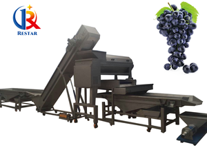 Machine industrielle <span class=keywords><strong>de</strong></span> désembuage <span class=keywords><strong>de</strong></span> <span class=keywords><strong>raisin</strong></span> pour la production <span class=keywords><strong>de</strong></span> vin retire les raisins <span class=keywords><strong>de</strong></span> la <span class=keywords><strong>grappe</strong></span> avec moteur et composants du noyau <span class=keywords><strong>de</strong></span> roulement - Product Image 3