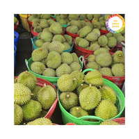 Geselecteerde Verse Durian Uit Vietnam Verzonden Als Verse Durian 99 Goudgegevens, Perfect Voor Fruitmarkten En Snacks