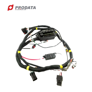 Faisceau de câbles étanche OEM/ODM pour vélos électriques IP66/IP68 - Product Image 1