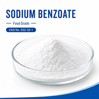 Fournisseur d'usine Benzoate de sodium en poudre CAS 532-32-1 Conservateur de qualité alimentaire Sac de 25 kg Pureté 99% Durée de conservation 24 mois