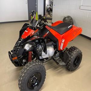 Hiçbir kaza veya kir <span class=keywords><strong>2025</strong></span> CAn-amM DS250 dört tekerlekli satılık - Product Image 3