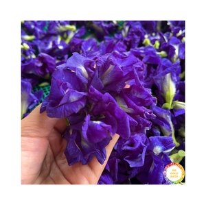 99 Gold Data Emballage personnalisé Fleur de pois de papillon séchée-Thé de bourgeon de pois de papillon séché-Tisane biologique du Vietnam - Product Image 4