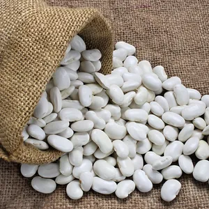 2022 Kacang Merah Putih Mesir 190/200 Kualitas Tinggi Massal untuk Ekspor Kacang Merah Putih