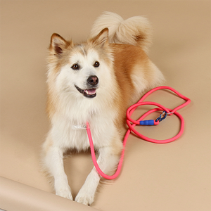 Laisse pour chien en polyester doux PETBOS OEM CORÉE 2,6 m Conception mains libres multi-glisse Confortable pour la promenade des animaux - Product Image 1