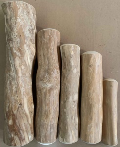 ¡El precio más barato! Palos de juguete para masticar perro de madera de café natural/accesorios para masticar perro de juguete al por mayor buen precio hecho en Vietnam - Product Image 3