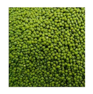 Proveedor Mayorista De Stock Fresco A Granel De Frijoles Mung Verdes/Frijoles Moong Enteros - Product Image 3