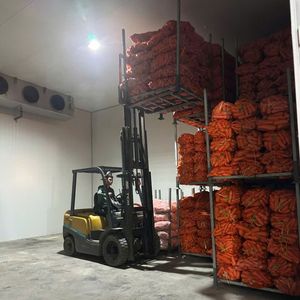 Vente en gros au Vietnam de carottes surgelées biologiques de haute qualité et fiables - Product Image 2