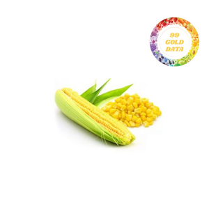 Produits phares Maïs en grains biologiques surgelés Technologie IQF Légumes biologiques surgelés - Product Image 3