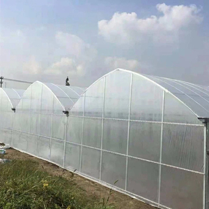 Serre à film multi-spans à technologie intelligente pour l'agriculture commerciale avec support professionnel pour la planification de projets - Product Image 2