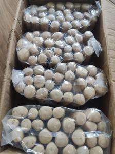 Juguetes para masticar perros de alta calidad a buen precio - Product Image 3