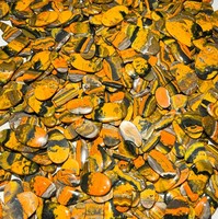 100% Naturel Bumble Bee Jasper Lâche Cabochon Pierres Précieuses Mélanger Forme dans Toutes Les Tailles ARHAN GEMS Du Rajasthan Inde