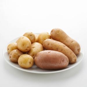 Pommes de terre fraîches de qualité supérieure Pommes de terre en gros de haute qualité idéales pour la cuisson, la friture, la transformation des aliments et la vente au détail - Product Image 3