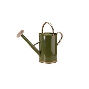 Calidad Premium Vintage galvanizado hierro agua puede hecho a mano diseñador clásico elegante Metal regadera al por mayor - Product Image 1