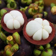 Mangoustan de qualité fraîche pour le prix de gros - Product Image 5